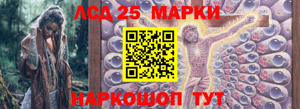 МЕФ Отрадное