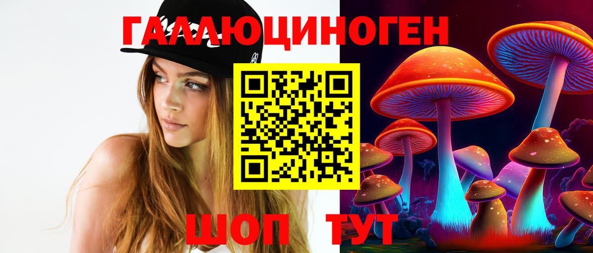 Отрадное  Псилоцибиновые грибы GOLDEN TEACHER  Вход с VPN  Галлюциногенные грибы MAGIC MUSHROOMS 