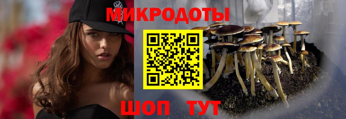 Галлюциногенные грибы ЛСД Отрадное