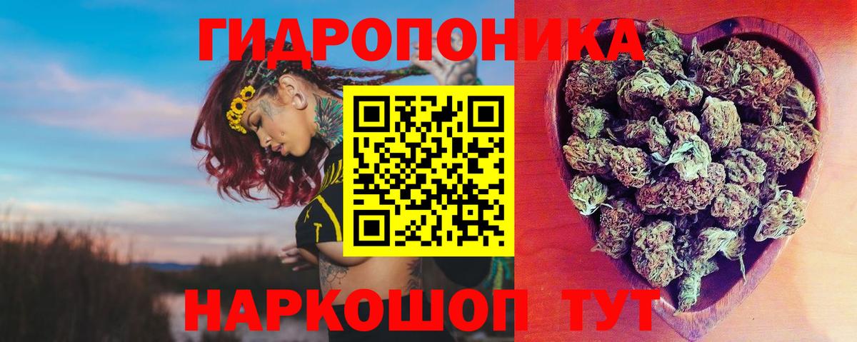 Шишки марихуана White Widow  Каннабис ГИДРОПОН  Каннабис Ganja  Отрадное  Бошки марихуана ГИДРОПОН  Вход с VPN 